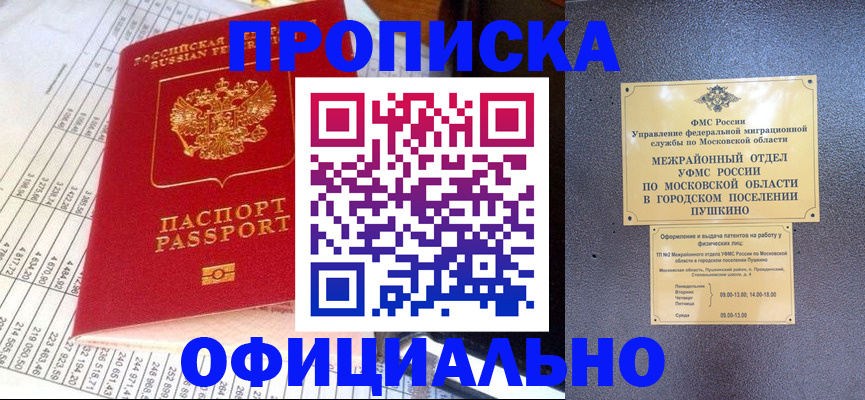 прописка от собственника в Никольском